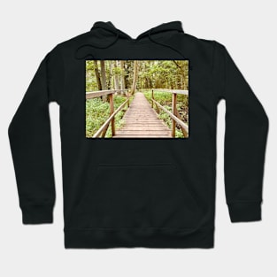 Bridge in the forest Hoodie